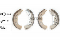 Juego de zapatas de freno