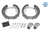 Juego de zapatas de freno