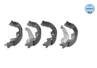 Juego de zapatas de freno