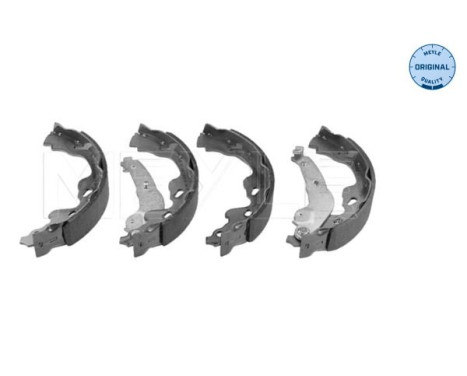 Juego de zapatas de freno