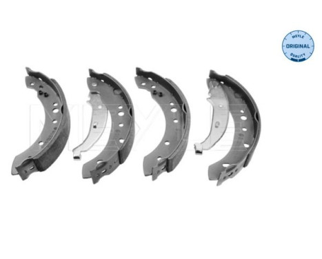 Juego de zapatas de freno