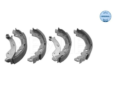 Juego de zapatas de freno