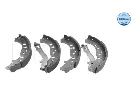 Juego de zapatas de freno