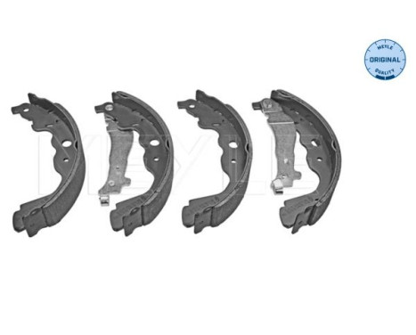 Juego de zapatas de freno