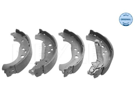 Juego de zapatas de freno