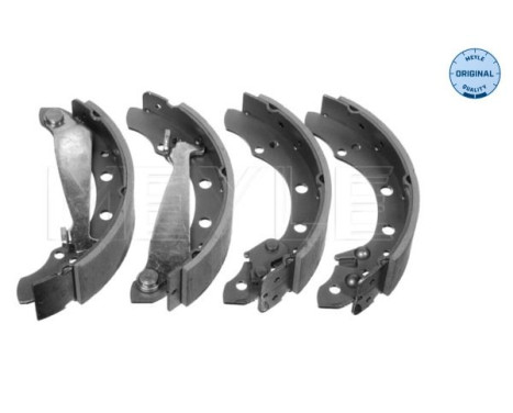 Juego de zapatas de freno