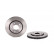 Disco de freno 09.N124.11 Brembo