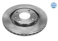 Disco de freno 11-15 521 0032 Meyle