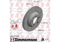 Disco de freno COAT Z 460.4519.20 Zimmermann