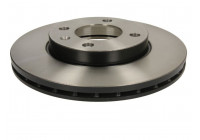 Disco de freno delantero DF1517 TRW