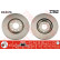 Disco de freno delantero DF4476 TRW