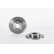 Disco de freno trasero 08.4917.10 Brembo