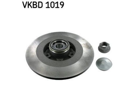 Disco de freno VKBD 1019 SKF