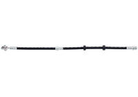 Manguera de freno SL 5595 ABS
