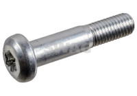 tornillo