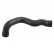 Serpiente