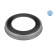 Anillo sensor, ABS