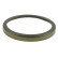 Anillo sensor, ABS
