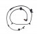Sensor ABS ADA107112 Blue Print