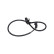 Sensor ABS BAS-5531 Kavo parts, Miniatura 4