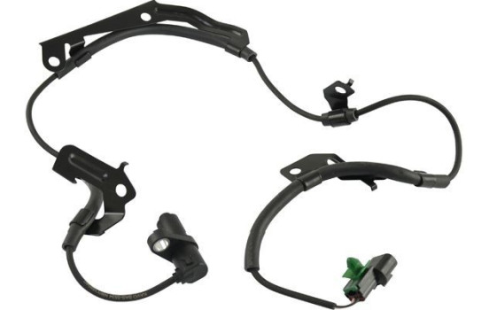 Sensor ABS BAS-5534 Kavo parts, Imagen 2