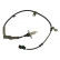 Sensor ABS BAS-5557 Kavo parts
