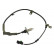 Sensor ABS BAS-5557 Kavo parts, Miniatura 2