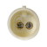 Sensor de velocidad de la rueda 185415 FEBI, Miniatura 2