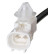 Sensor de velocidad de la rueda 31764 ABS, Miniatura 2