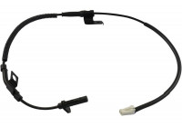 Sensor de velocidad de la rueda BAS-4031 Kavo parts