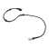 Sensor de velocidad de la rueda BAS-4519 Kavo parts