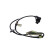 Sensor de velocidad de la rueda BAS-8007 Kavo parts, Miniatura 5