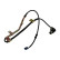 Sensor de velocidad de la rueda BAS-8513 Kavo parts