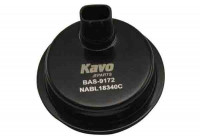 Sensor de velocidad de la rueda BAS-9172 Kavo parts