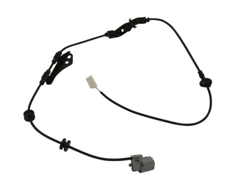 Sensor de velocidad de la rueda BAS-9186 Kavo parts
