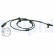 Sensor de velocidad de la rueda SS20539 Delphi, Miniatura 2