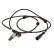 Sensor de velocidad de la rueda SS20749 Delphi