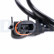 Sensor de velocidad de la rueda SS21349-12B1 Delphi, Miniatura 2