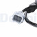 Sensor de velocidad de la rueda SS21651-12B1 Delphi, Miniatura 2
