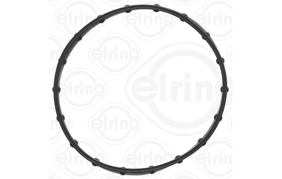 anillo decorativo, Imagen 2
