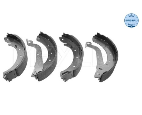 Juego de zapatas de freno
