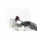Compresor, aire acondicionado, Miniatura 5