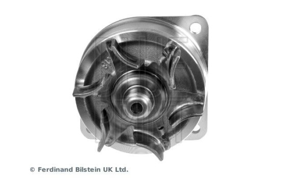 Bomba de agua ADN19191 Blue Print, Imagen 7