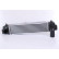 Intercooler 96384 Nissens, Miniatura 6