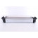 Intercooler 96486 Nissens, Miniatura 6