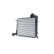Intercooler, enfriador de aire de carga, Miniatura 2