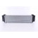 Intercooler, intercooler 96441 Nissens, Miniatura 3