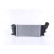 Intercooler, intercooler 96497 Nissens, Miniatura 4