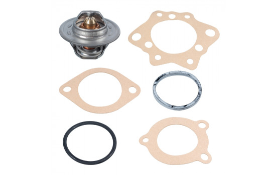 Termostato 06758 FEBI