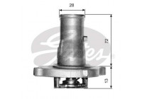 Termostato, refrigerante TH14887G1 Gates